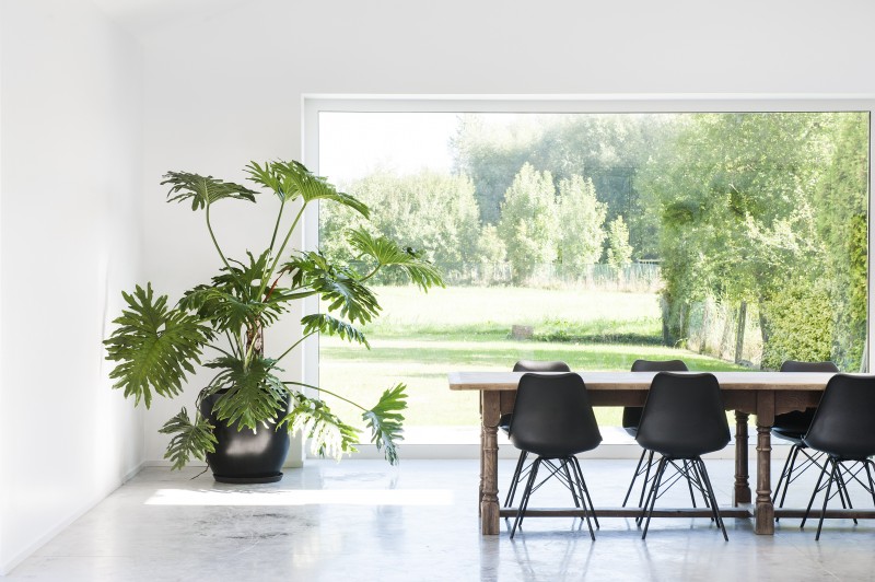 HÔME - House of Meetings