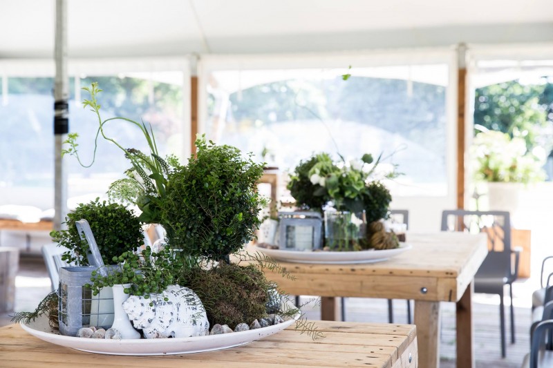 Dutch Design Tent