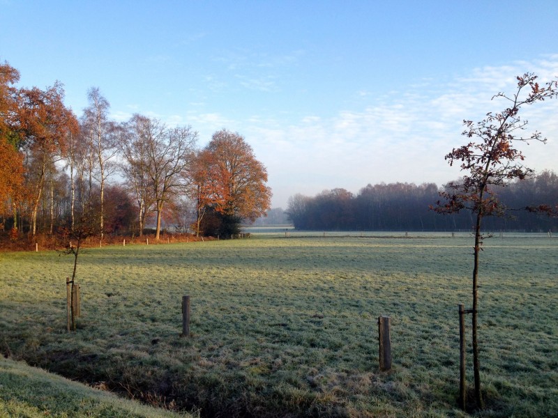 Landgoed de Holtweijde