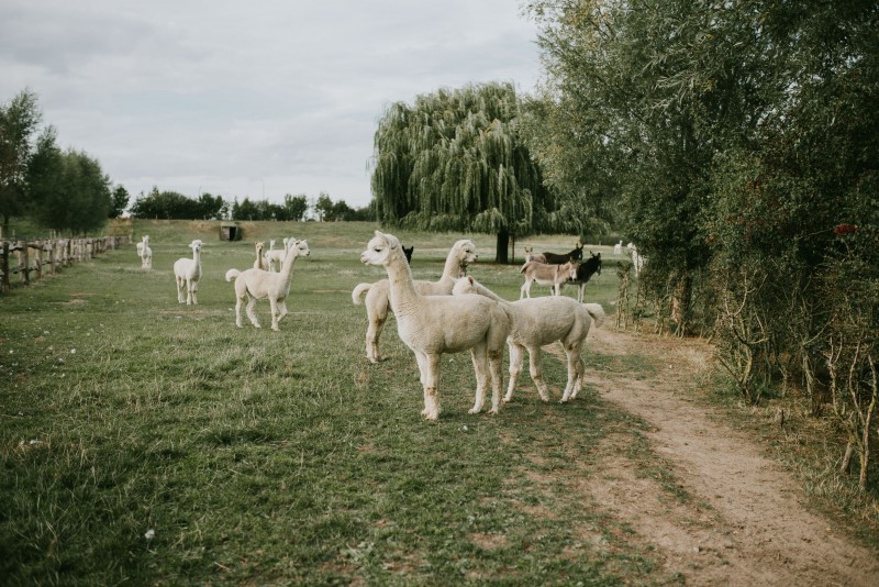 Lieselot Engelen Fotografie