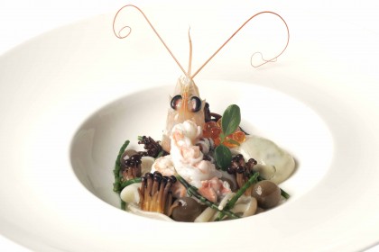 Stijlvol feest in een groene oase: Hof te Rhode is the place to be